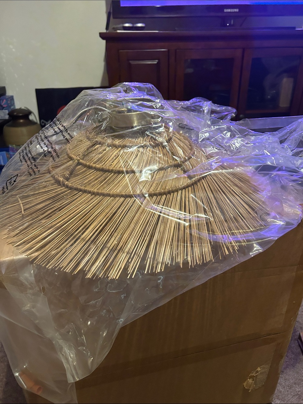 ARTERIORS Natural Rattan Fringe Pendant Shade in Light Brown